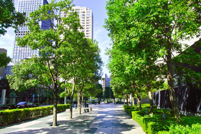 Business Landscape Design in Honolulu, HI