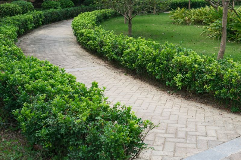 Elegant Pathways and Patios